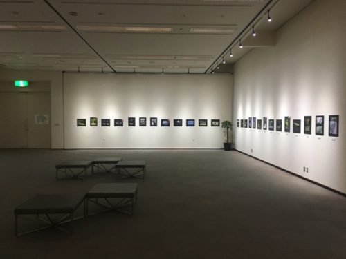 第14回文化の森写真展示会